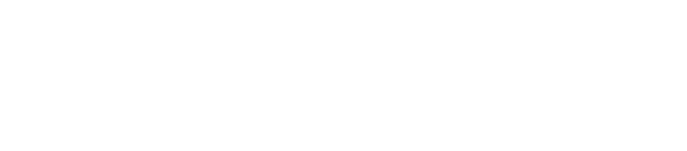 DSS2022-logo-baltas-1