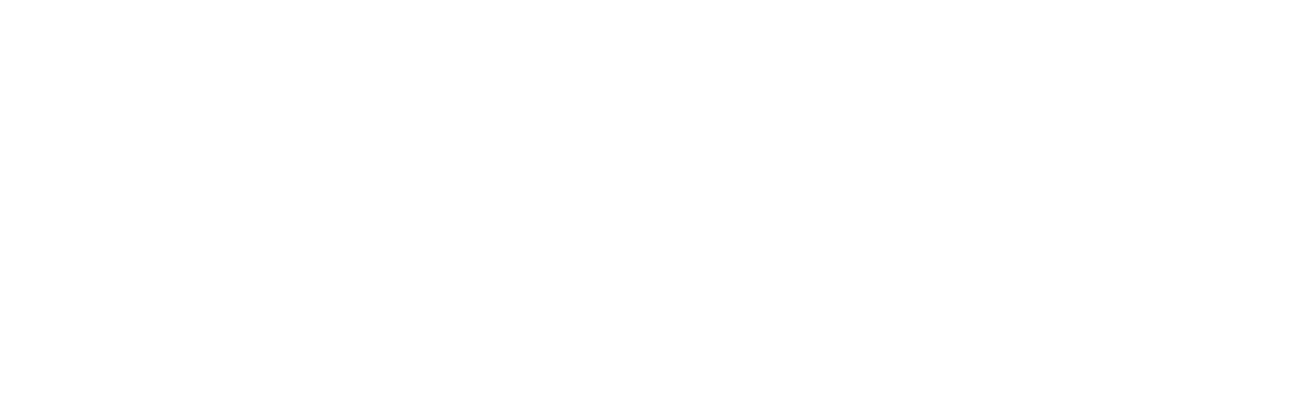 DSS_SEMINARAS_LOGO_5